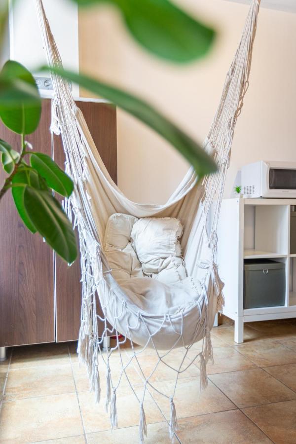 Dream Guesthouse Braşov Buitenkant foto