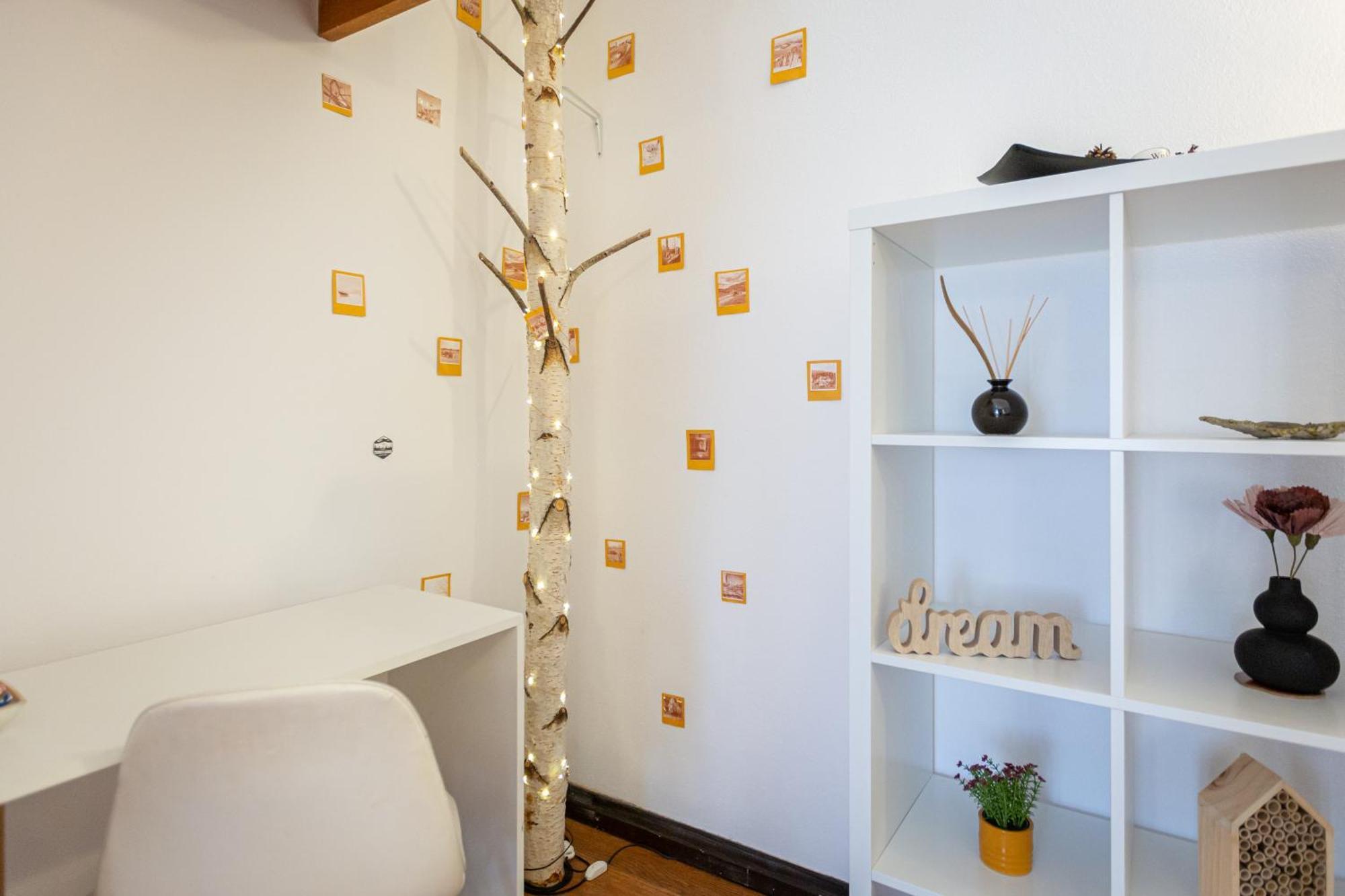 Dream Guesthouse Braşov Buitenkant foto