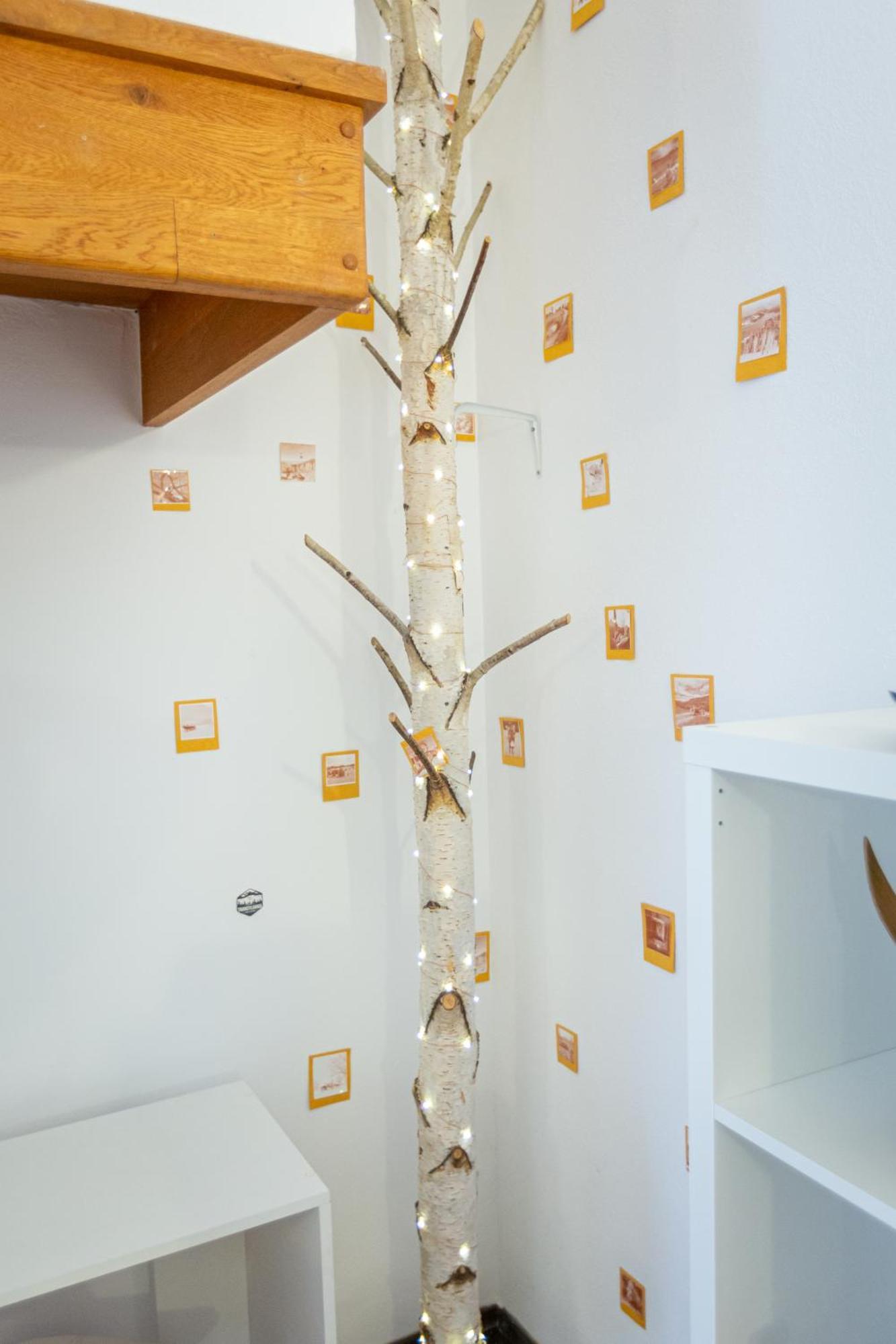Dream Guesthouse Braşov Buitenkant foto