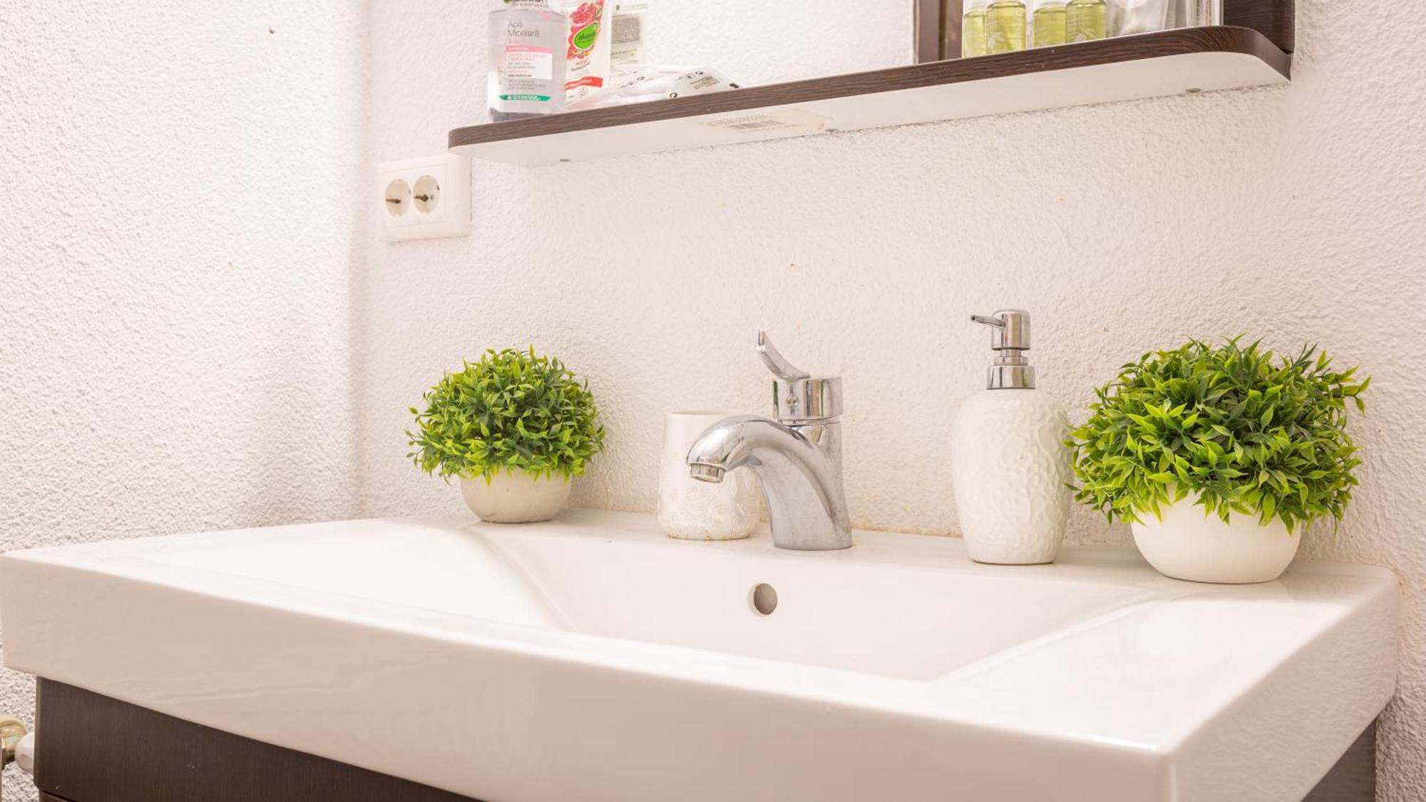 Dream Guesthouse Braşov Buitenkant foto