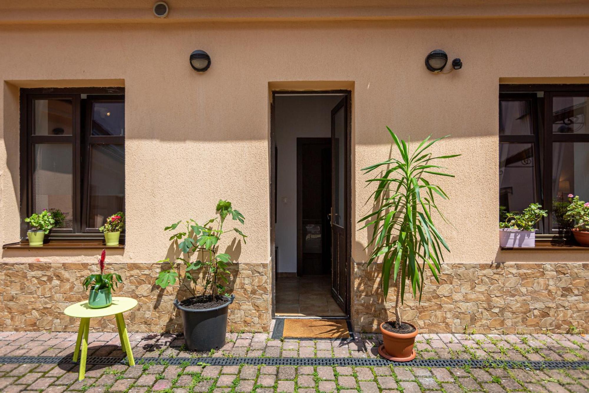 Dream Guesthouse Braşov Buitenkant foto